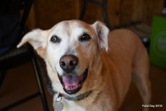 64905539_10217118309888984_7945955154212159488_o