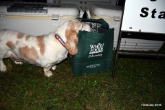 64929502_10217118331449523_6121795776671645696_o