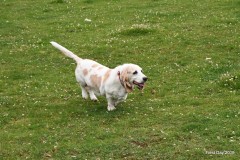 65019429_10217118335929635_978488288417415168_o